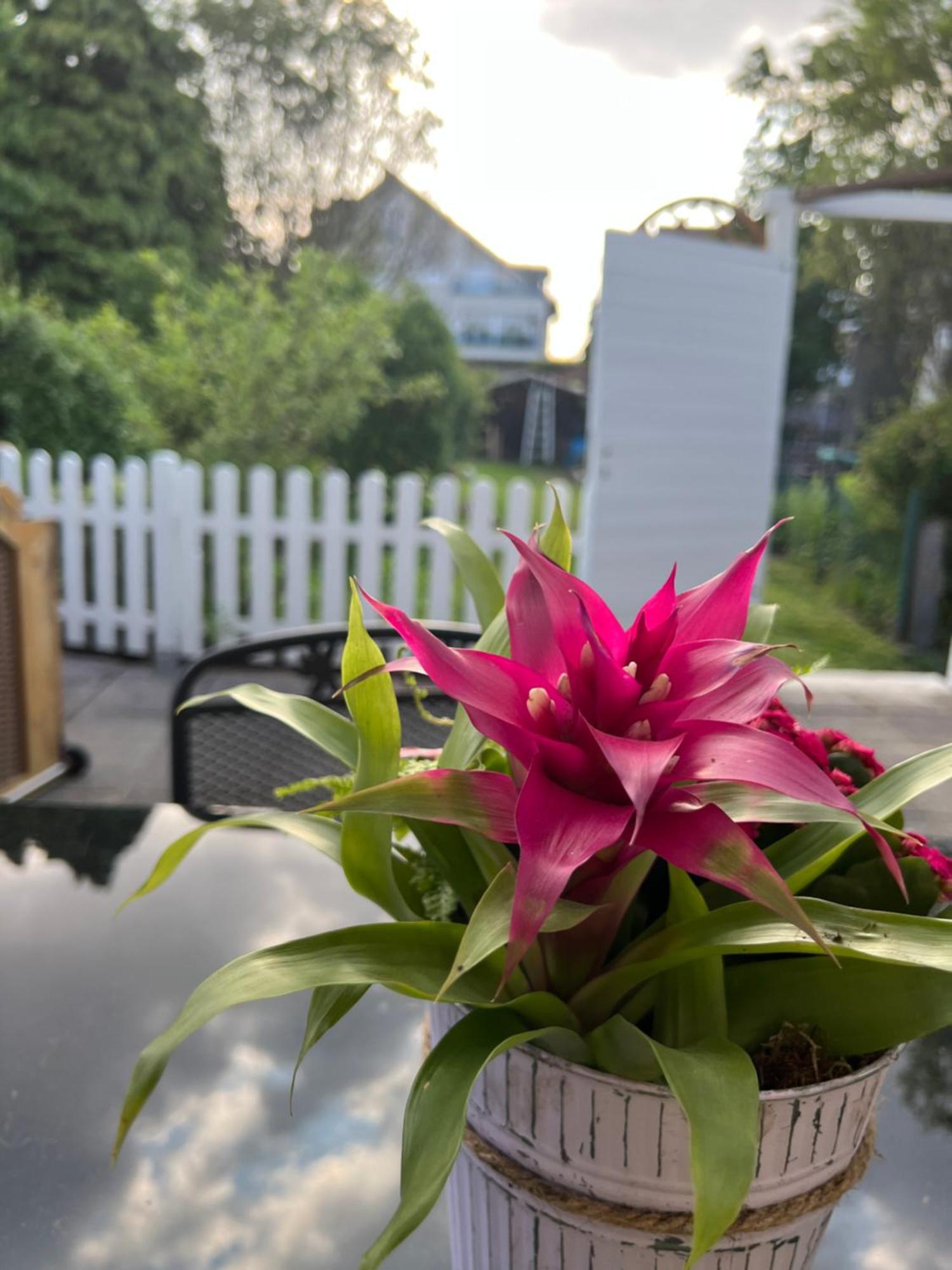 Auszeit Im Pott - Ferienwohnung Lavendel แฮร์เทน ภายนอก รูปภาพ